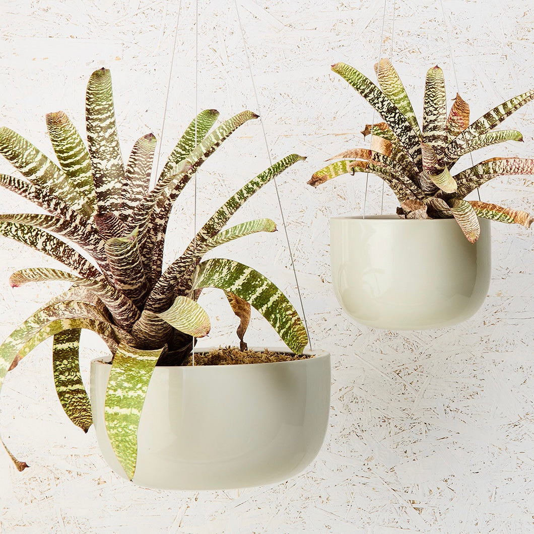 Angus & Celeste Glazed Earth Hanging Planter - Ash Grey